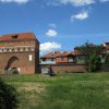 torun 25